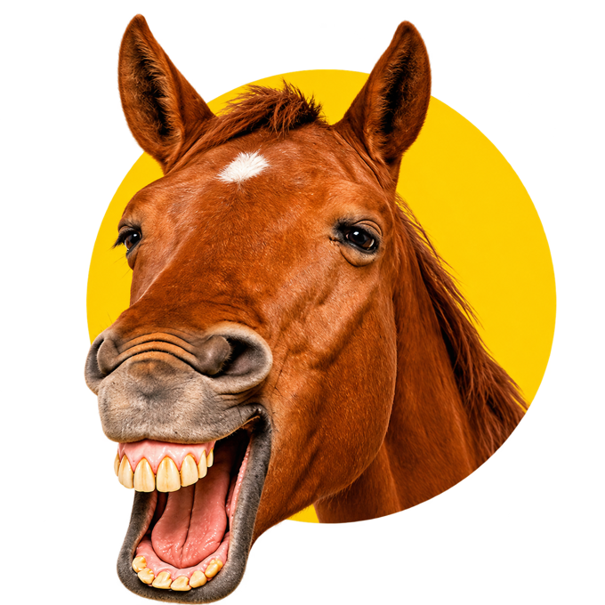A laughing horse